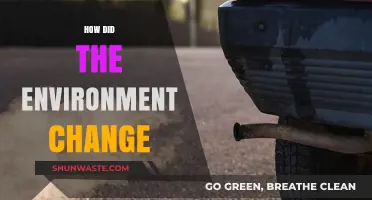 Environmental Shifts: How Our Planet Has Transformed Over Time