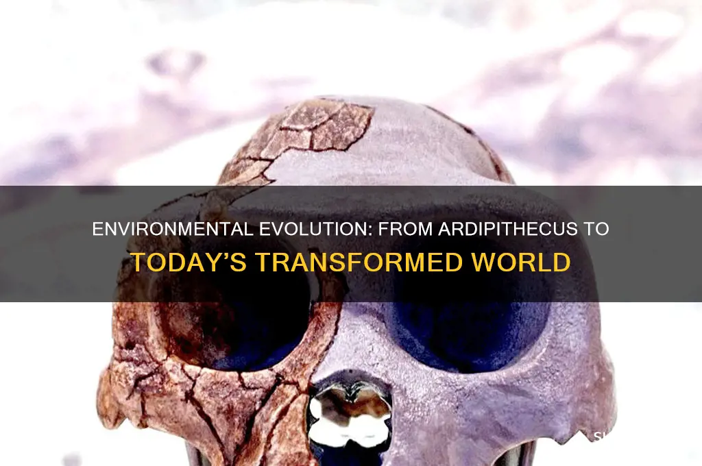 how did the environment changed since the ardipithecus lives