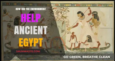 Nile's Bounty: How Egypt's Environment Fueled Ancient Civilization's Rise