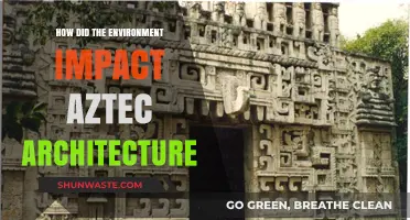 Nature's Influence: How Environment Shaped Aztec Architectural Mastery