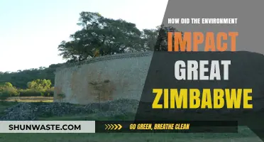Environmental Factors Shaping Great Zimbabwe's Rise and Decline