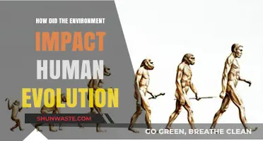 Environmental Forces Shaping Human Evolution: A Comprehensive Exploration