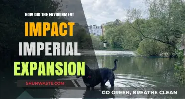 Environmental Factors Shaping Imperial Expansion: A Historical Perspective