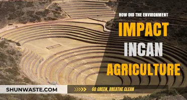 Environmental Factors Shaping Incan Agriculture: Challenges and Adaptations