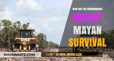 Environmental Factors Shaping Mayan Survival: Challenges and Adaptations