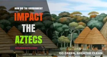 Environmental Influences on Aztec Civilization: Shaping Culture and Survival Strategies