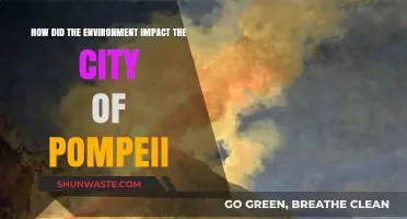 Pompeii's Fate: How the Environment Shaped Its Rise and Fall
