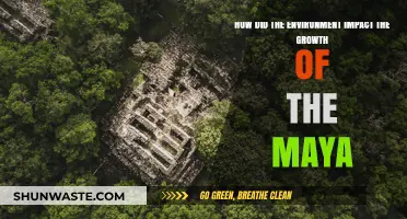 Maya Civilization's Rise: Environmental Factors Shaping Their Growth and Decline