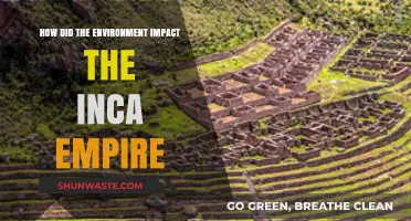 Environmental Factors Shaping the Rise and Fall of the Inca Empire