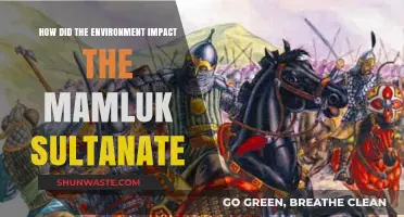 Environmental Factors Shaping the Mamluk Sultanate's Rise and Fall