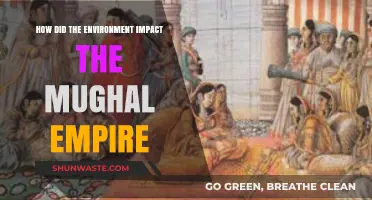 Environmental Influences on the Rise and Fall of the Mughal Empire
