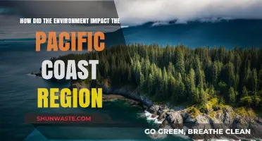 Environmental Shaping of the Pacific Coast: Climate, Geography, and Ecosystems