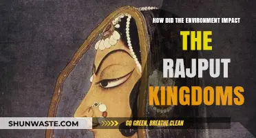 Environmental Influences on the Rise and Fall of Rajput Kingdoms