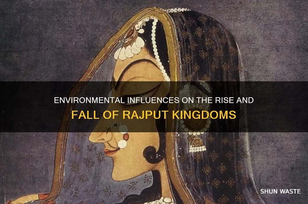 how did the environment impact the rajput kingdoms