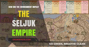 Environmental Factors Shaping the Rise and Fall of the Seljuk Empire