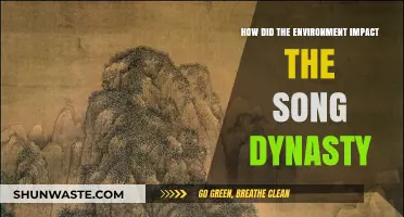 Environmental Influences on the Song Dynasty's Rise and Legacy