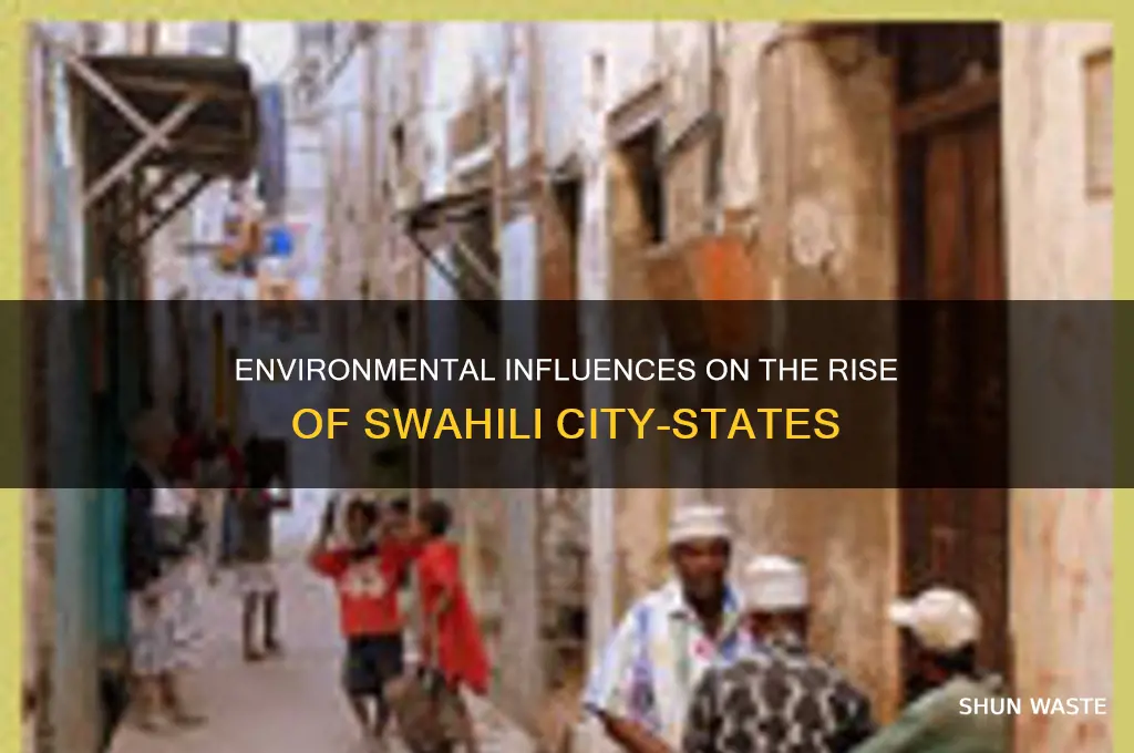 how did the environment impact the swahili city states