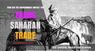Environmental Shifts and the Evolution of Trans-Saharan Trade Routes