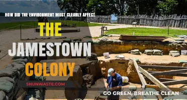 Jamestown's Struggle: How the Harsh Environment Shaped the Colony's Fate