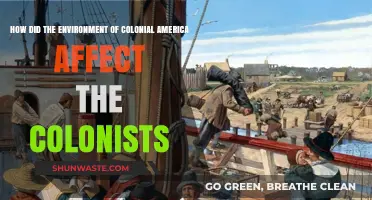 Colonial America's Environment: Shaping the Lives and Struggles of Colonists