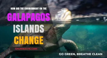 Galápagos Islands: Unraveling the Shifts in Their Unique Ecosystem Over Time