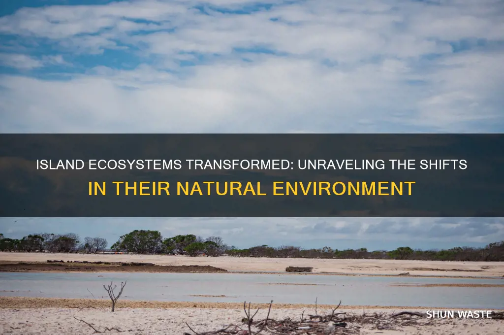 how did the environment on the islands change