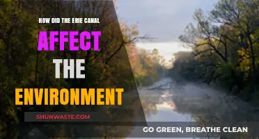 Erie Canal's Environmental Impact: Transforming Landscapes and Ecosystems