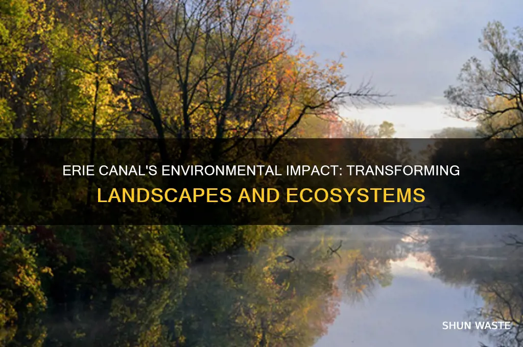 how did the erie canal affect the environment