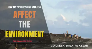 Krakatoa's Eruption: Environmental Impacts and Global Consequences Explored