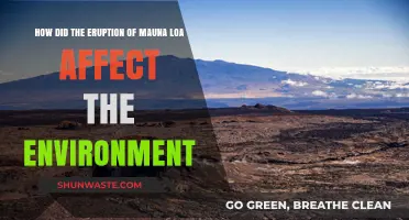Mauna Loa's Eruption: Environmental Impacts and Ecosystem Changes Explored