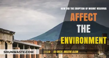 Mount Vesuvius Eruption: Environmental Impact and Long-Term Consequences
