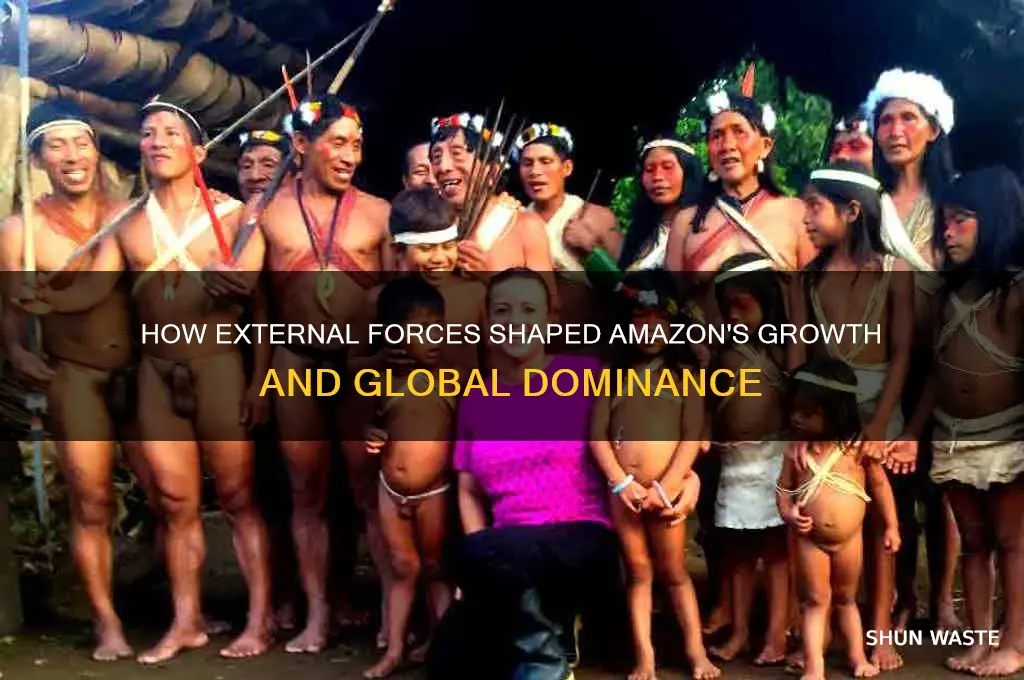 how did the external environment affect amazon