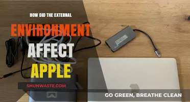 How External Forces Shaped Apple's Innovation and Global Success