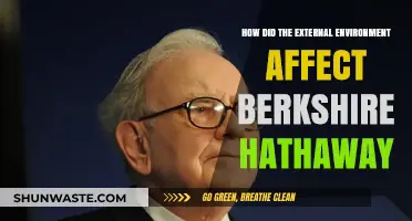 External Forces Shaping Berkshire Hathaway's Success and Challenges