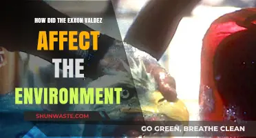 Exxon Valdez Oil Spill: Devastating Environmental Impact and Long-Term Effects
