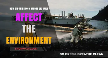 Exxon Valdez Oil Spill: Devastating Environmental Impacts and Long-Term Effects