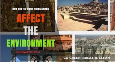 Early Civilizations' Environmental Impact: Shaping Landscapes and Ecosystems