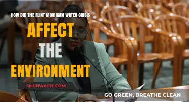Flint Water Crisis: Environmental Impact and Long-Term Ecological Consequences