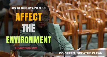 Flint Water Crisis: Environmental Impacts and Long-Term Ecological Consequences