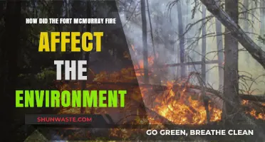 Fort McMurray Fire's Devastating Environmental Impact: A Comprehensive Analysis