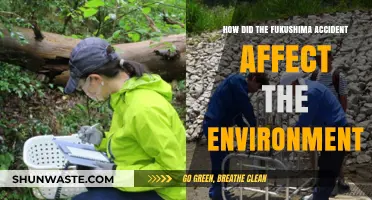 Fukushima's Environmental Impact: Unraveling the Disaster's Long-Term Ecological Consequences