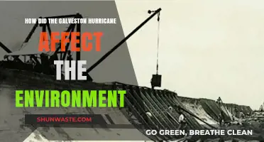 Galveston Hurricane's Environmental Impact: Devastation, Recovery, and Lasting Changes