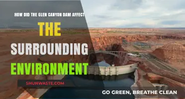 Glen Canyon Dam's Environmental Impact: Transforming the Colorado River Ecosystem