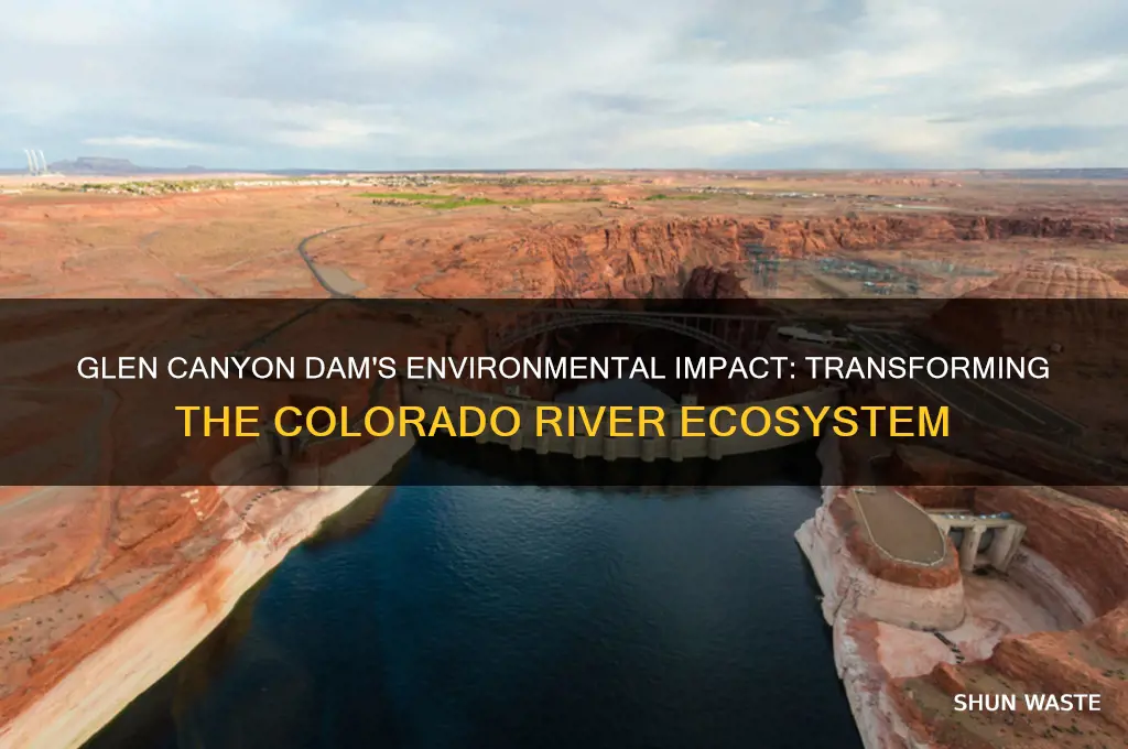 how did the glen canyon dam affect the surrounding environment
