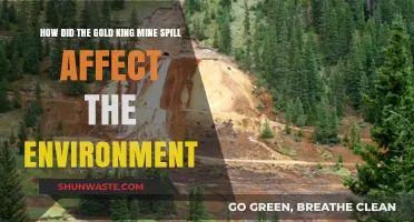 Gold King Mine Spill: Environmental Impact and Long-Term Consequences