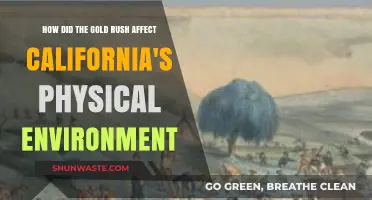 Gold Rush's Impact: Transforming California's Landscape and Ecosystems
