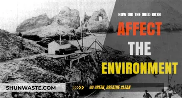 Gold Rush's Environmental Impact: Shaping Landscapes and Ecosystems Forever