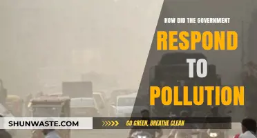 Government Action Plan: Tackling Pollution