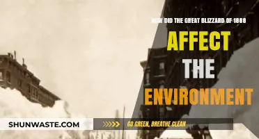 The Great Blizzard of 1888: Environmental Impacts and Lasting Changes