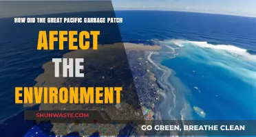 The Great Pacific Garbage Patch: Environmental Impacts and Urgent Solutions